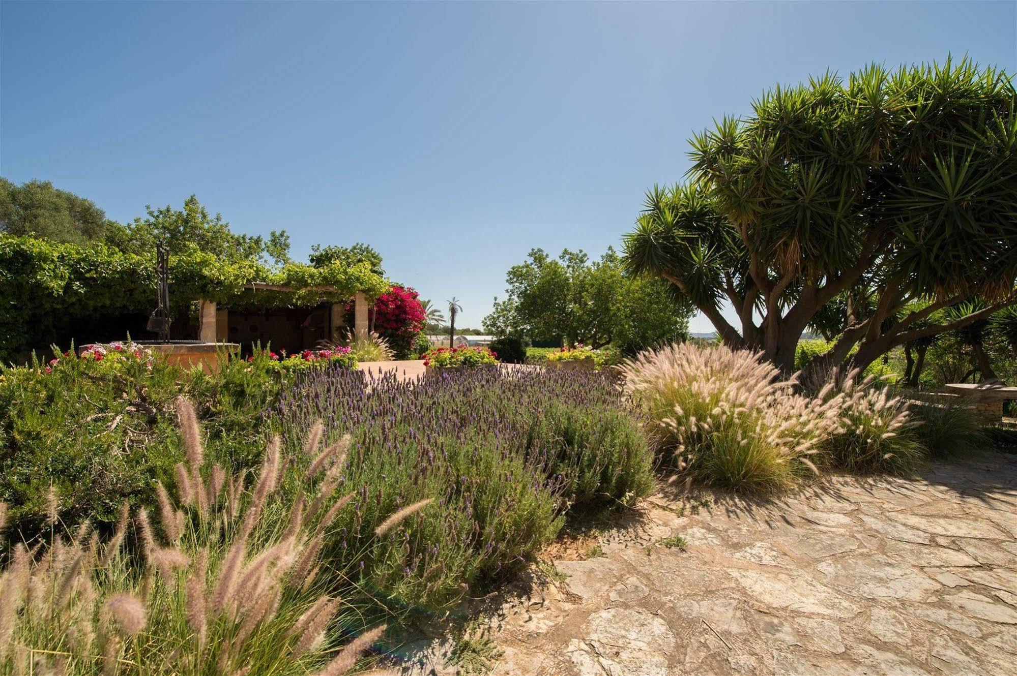 Hotel Rural Can Feliu Porreres Exteriér fotografie
